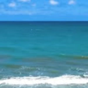 Meet your Posher, Nia